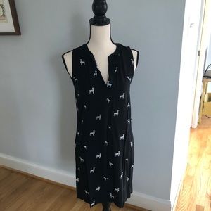 LOFT dresses | dress with Zebra print | size XS